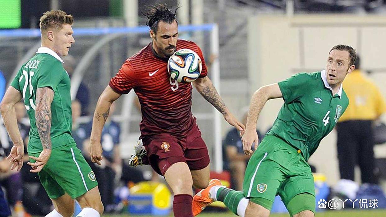 关于爱尔兰队一路高歌猛进，杀入欧预赛决赛的信息