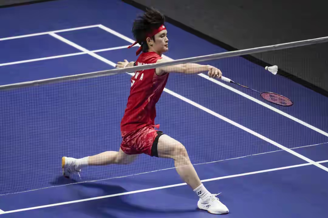 法国羽毛球队血洗印尼羽毛球队，林丹制霸全场的简单介绍
