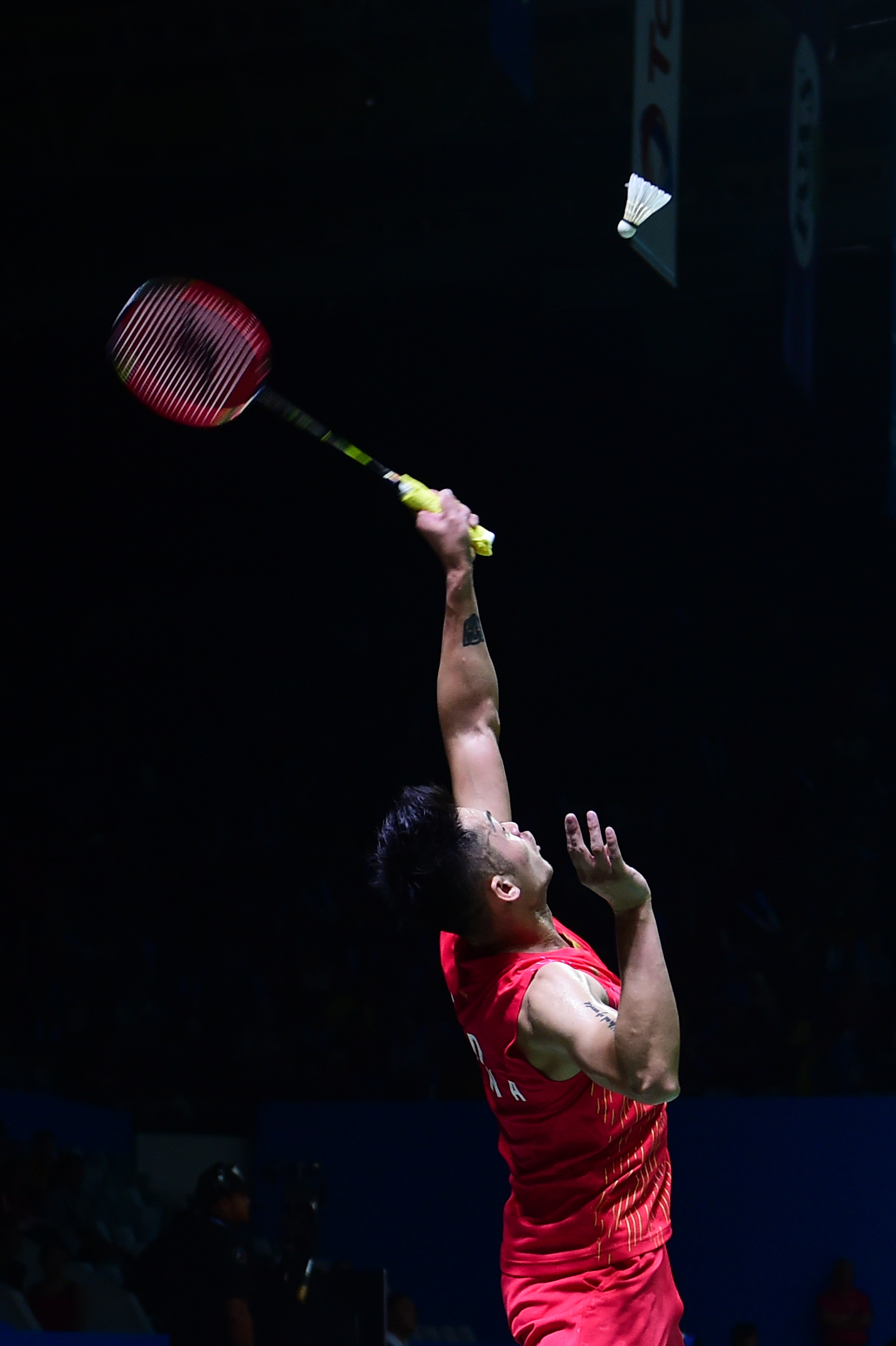 法国羽毛球队血洗印尼羽毛球队，林丹制霸全场的简单介绍