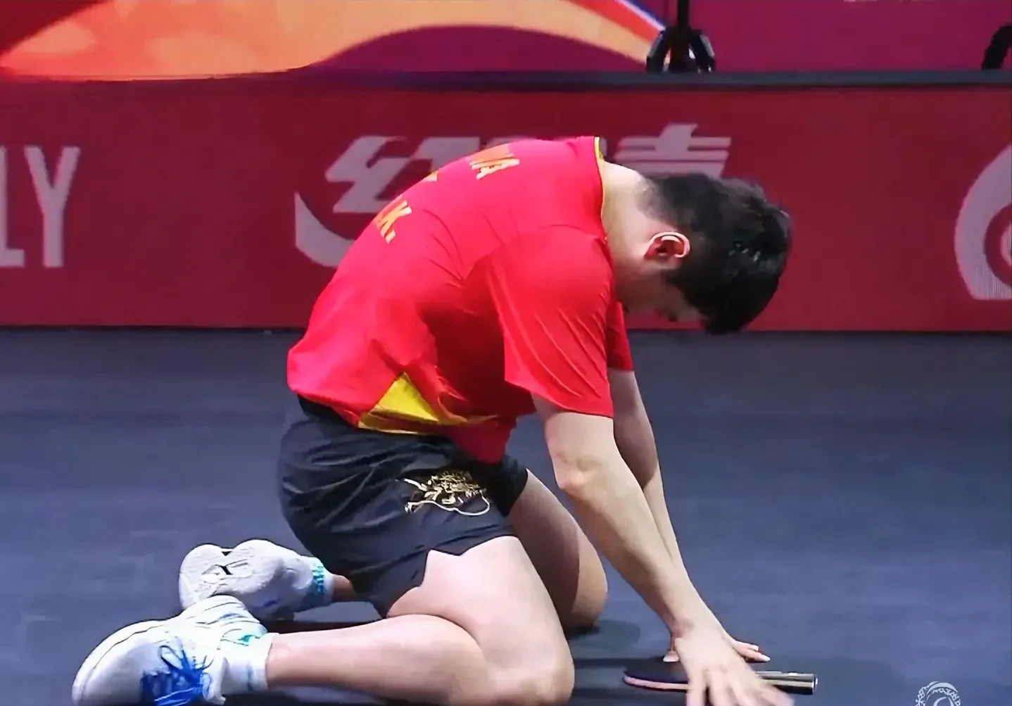 法国乒乓球队血洗英国乒乓球队，张继科统治全场的简单介绍