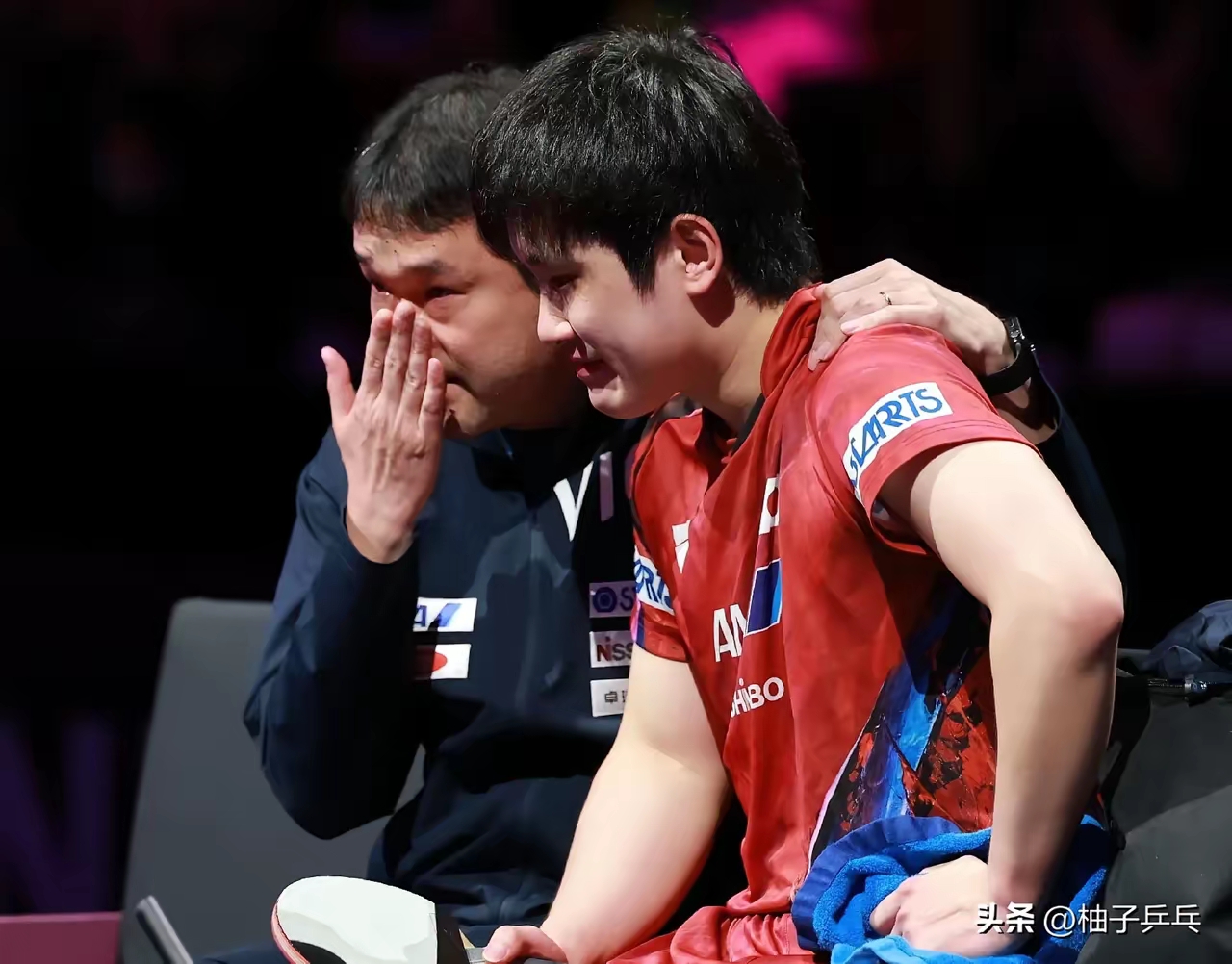 法国队轻取韩国队，张本智和统治全场的简单介绍