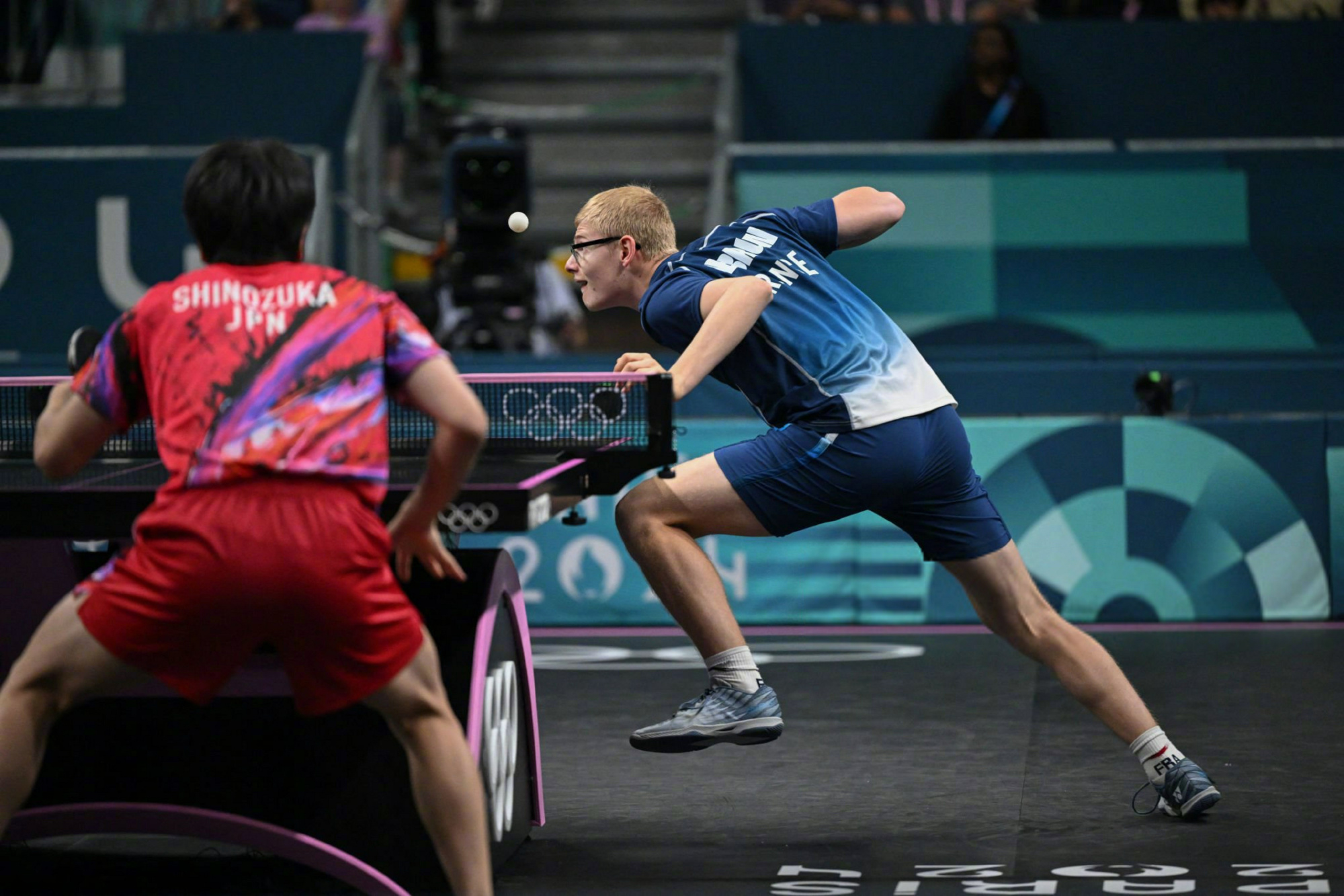 法国队轻取韩国队，张本智和统治全场的简单介绍